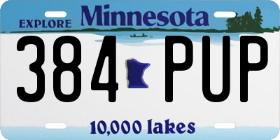 MN license plate 384PUP