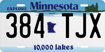 MN license plate 384TJX