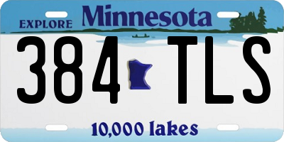 MN license plate 384TLS