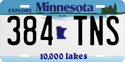 MN license plate 384TNS
