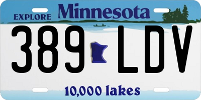 MN license plate 389LDV