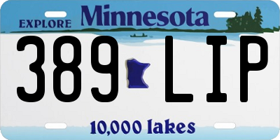 MN license plate 389LIP