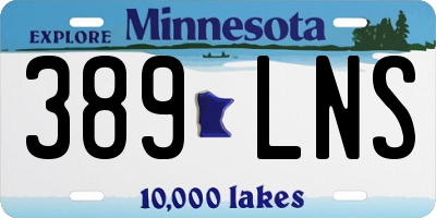 MN license plate 389LNS