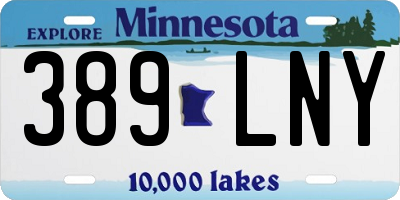 MN license plate 389LNY