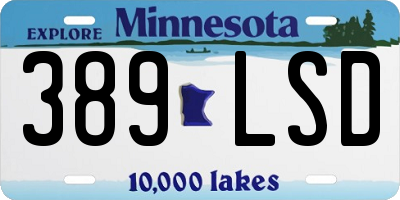 MN license plate 389LSD
