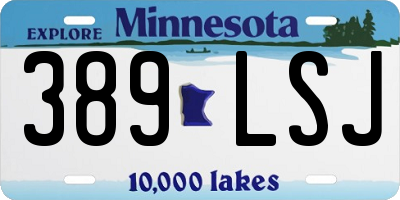 MN license plate 389LSJ