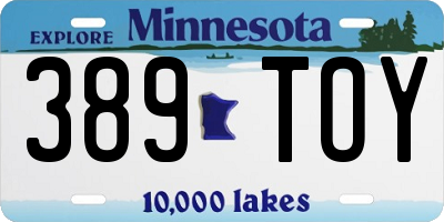 MN license plate 389TOY