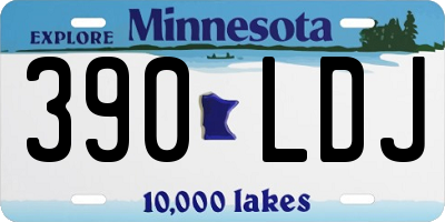 MN license plate 390LDJ