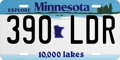 MN license plate 390LDR