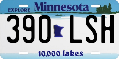 MN license plate 390LSH