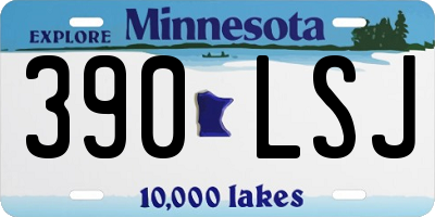 MN license plate 390LSJ