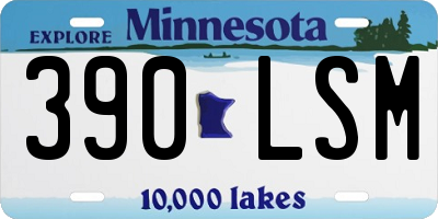 MN license plate 390LSM