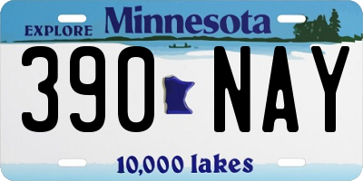 MN license plate 390NAY