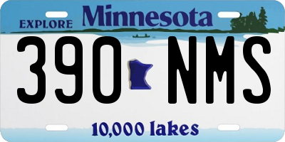 MN license plate 390NMS