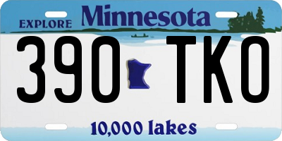 MN license plate 390TKO