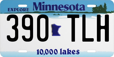 MN license plate 390TLH