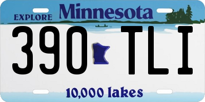 MN license plate 390TLI