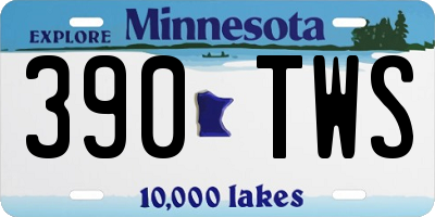 MN license plate 390TWS