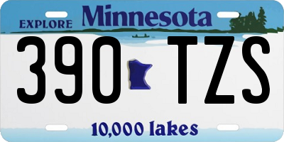 MN license plate 390TZS