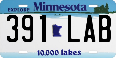 MN license plate 391LAB