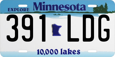 MN license plate 391LDG