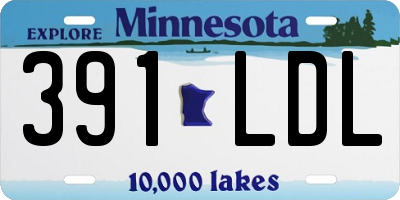 MN license plate 391LDL