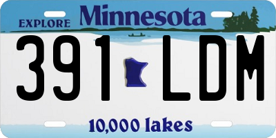 MN license plate 391LDM