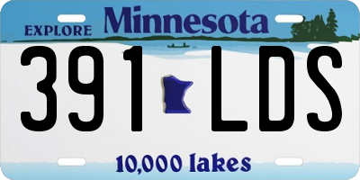 MN license plate 391LDS