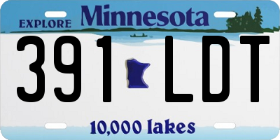 MN license plate 391LDT