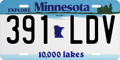 MN license plate 391LDV