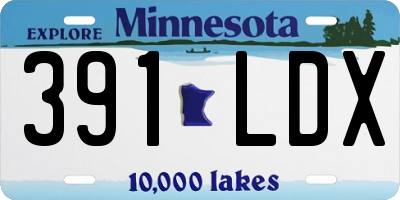 MN license plate 391LDX