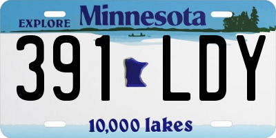 MN license plate 391LDY