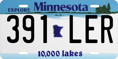 MN license plate 391LER