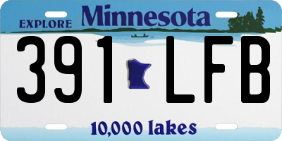 MN license plate 391LFB