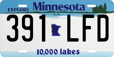 MN license plate 391LFD