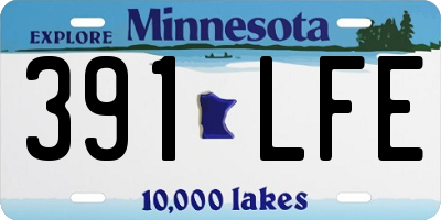 MN license plate 391LFE