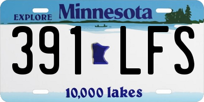 MN license plate 391LFS