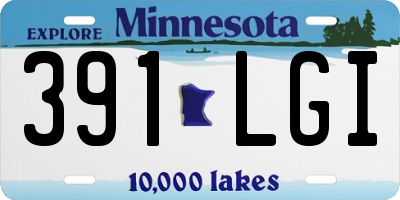 MN license plate 391LGI