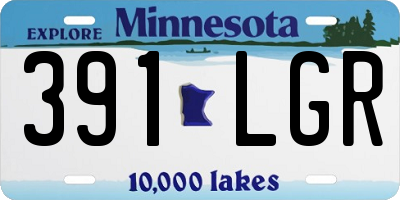 MN license plate 391LGR