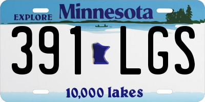 MN license plate 391LGS