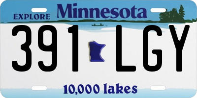 MN license plate 391LGY