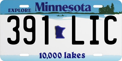 MN license plate 391LIC