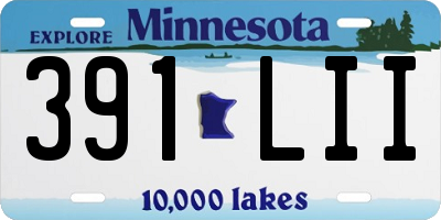 MN license plate 391LII