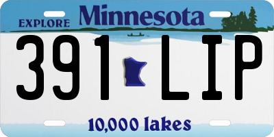 MN license plate 391LIP