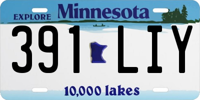 MN license plate 391LIY