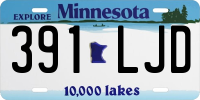 MN license plate 391LJD
