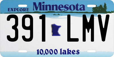 MN license plate 391LMV
