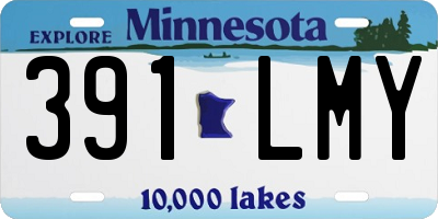 MN license plate 391LMY