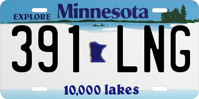 MN license plate 391LNG