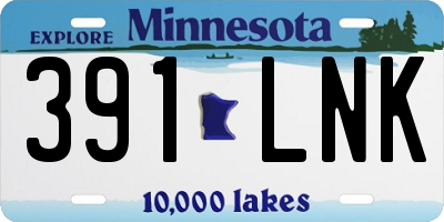MN license plate 391LNK
